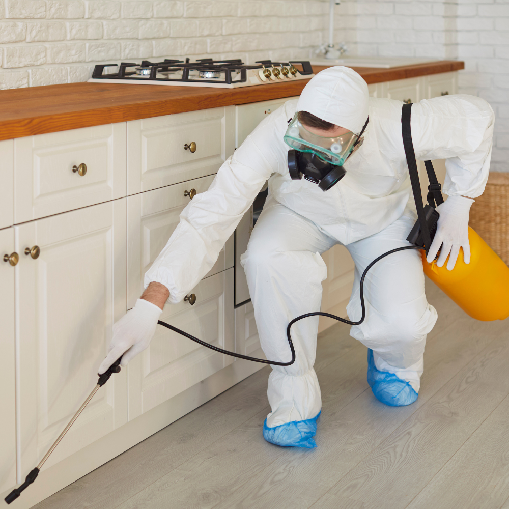 Traitement des nuisibles